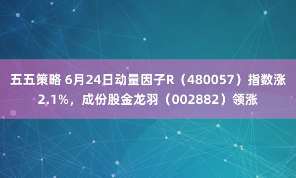 五五策略 6月24日动量因子R（480057）指数涨2.1%，成份股金龙羽（002882）领涨