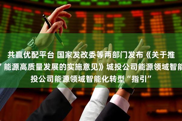 共赢优配平台 国家发改委等两部门发布《关于推进“人工智能+”能源高质量发展的实施意见》城投公司能源领域智能化转型“指引”