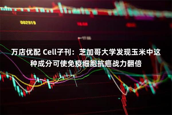 万店优配 Cell子刊:芝加哥大学发现玉米中这种成分可使免疫细胞抗癌战力翻倍