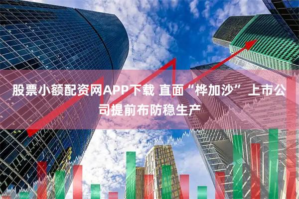 股票小额配资网APP下载 直面“桦加沙” 上市公司提前布防稳生产