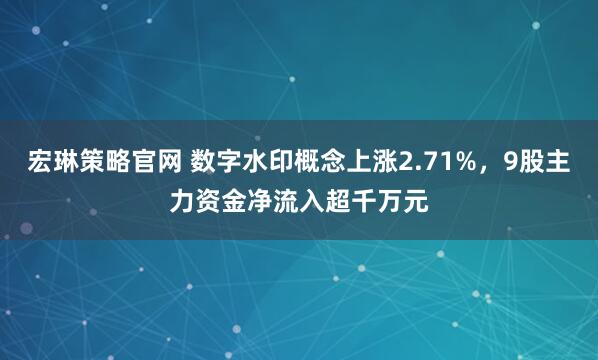 宏琳策略官网 数字水印概念上涨2.71%，9股主力资金净流入超千万元