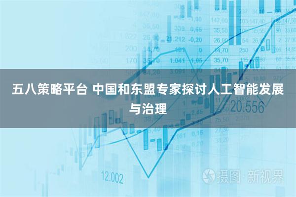五八策略平台 中国和东盟专家探讨人工智能发展与治理